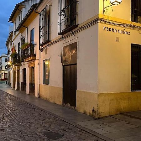 Patio De La Corredera Daire Cordoba Dış mekan fotoğraf